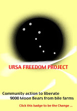 Ursa Freedom Project Badge