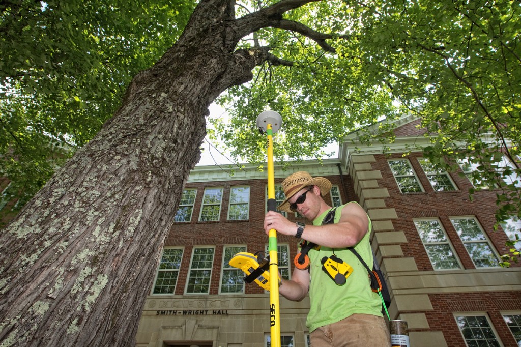 TreeResearch